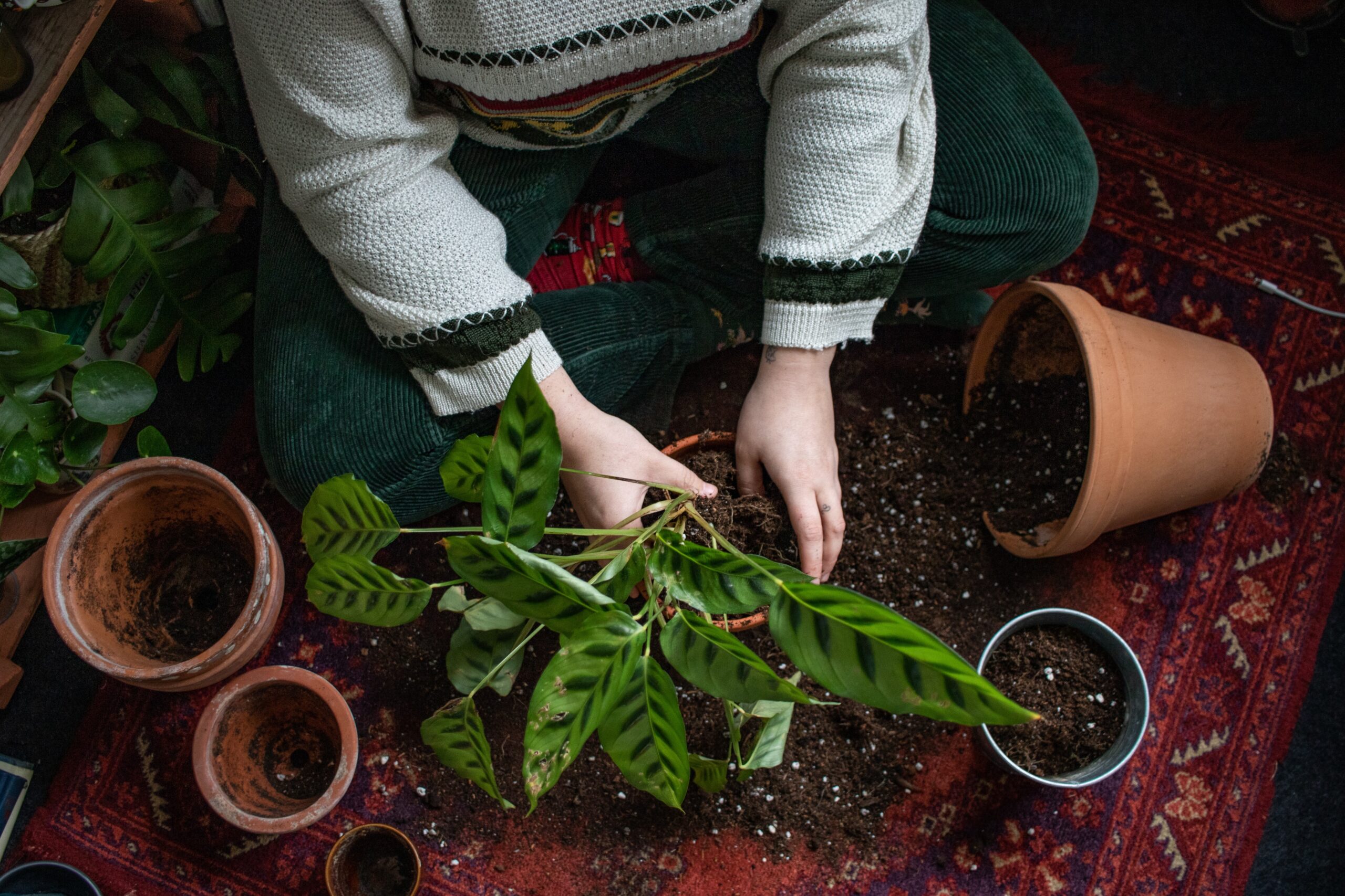 Container Gardening