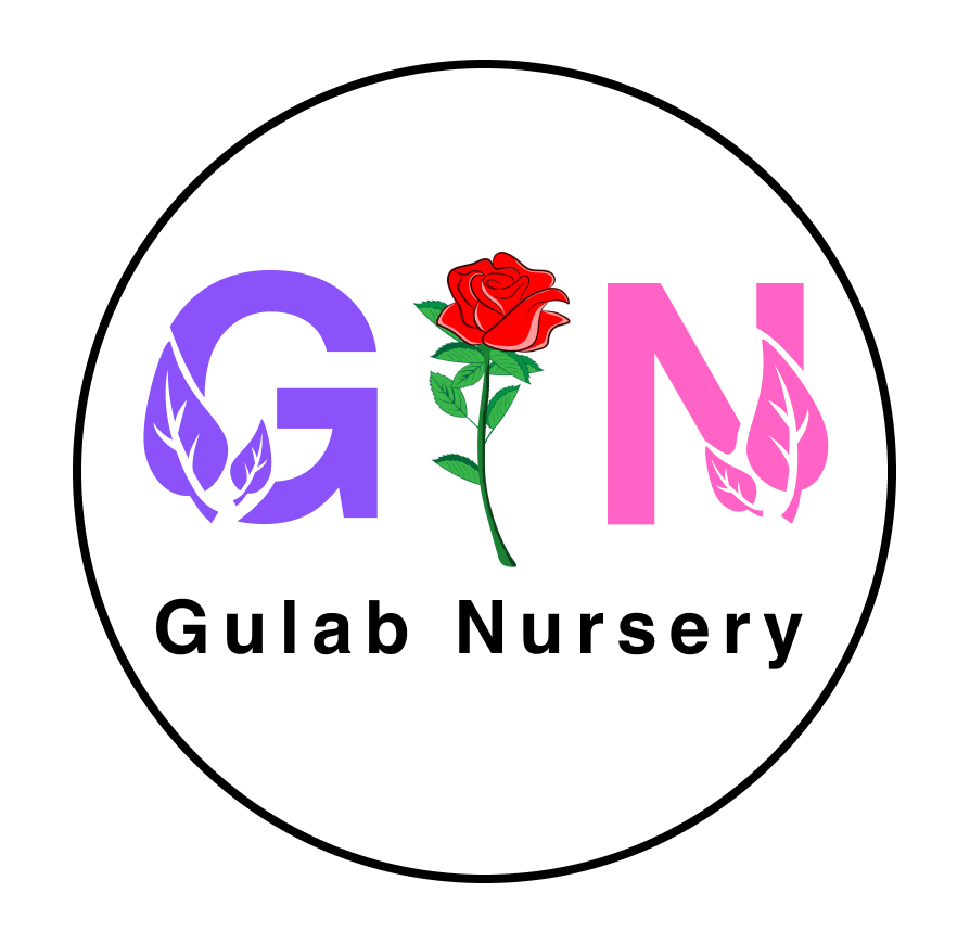 Gulab Nursery Logo