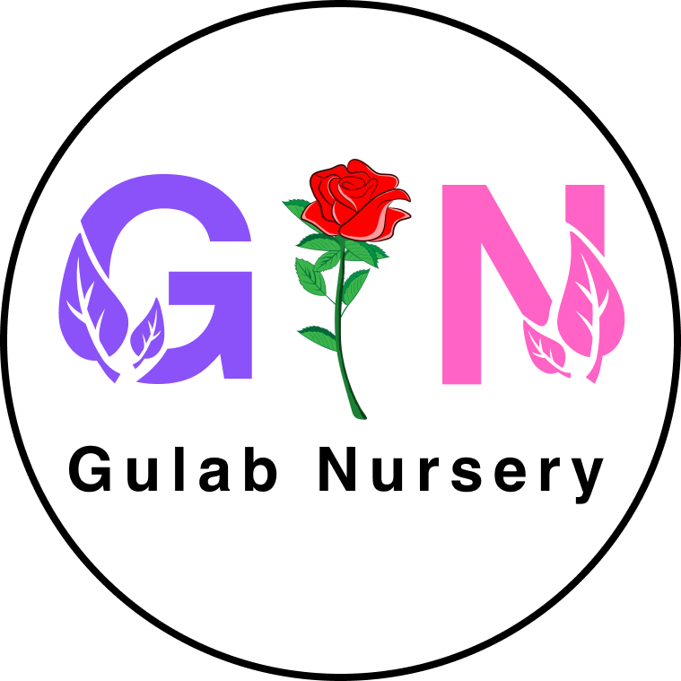 Gulab Nursery