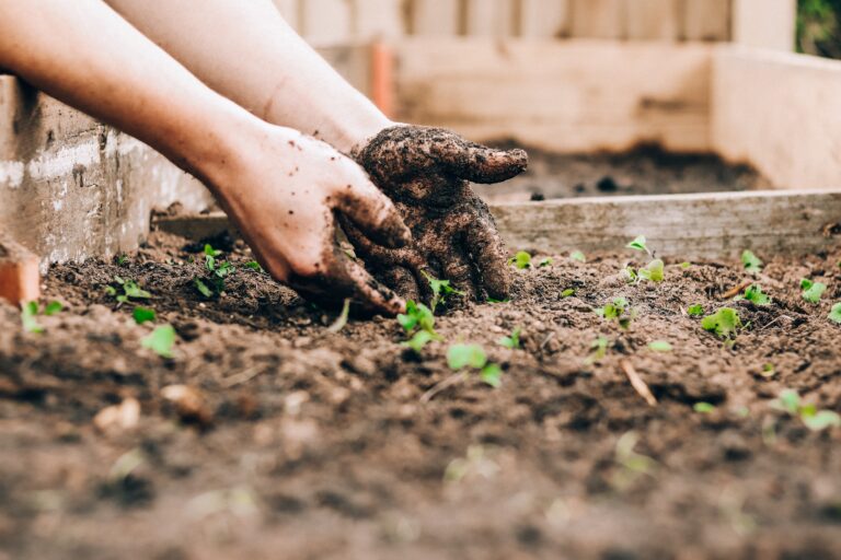 Seasonal Gardening