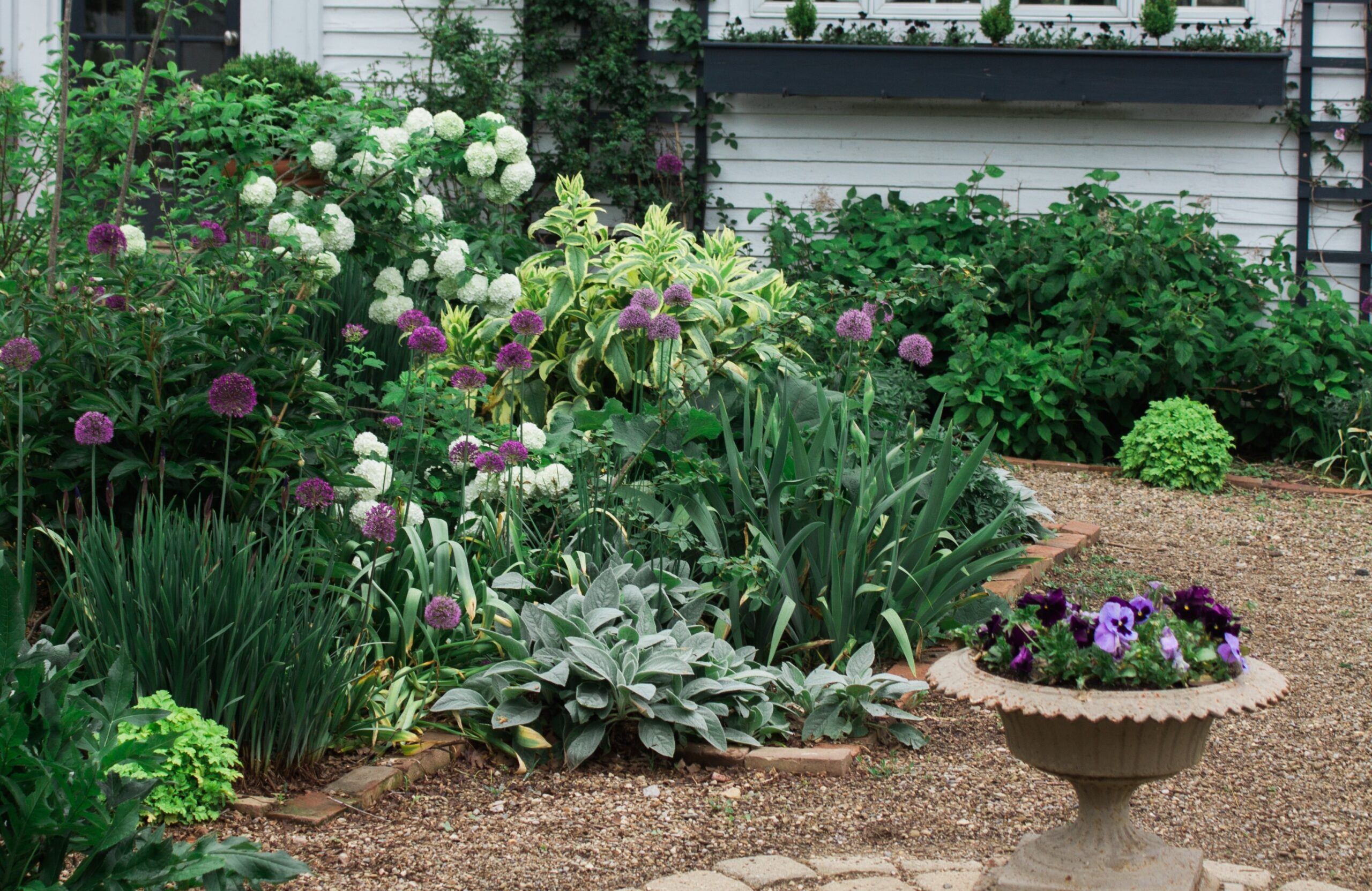 front yard plants